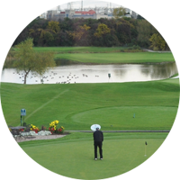 Avian - Custom Repellent Solution