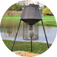 Avian - Feed Machine